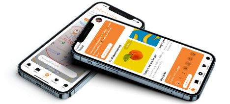 Vivid UX Design case study mockup